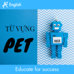 TỪ VỰNG PET